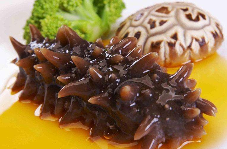 乐虎最新网站